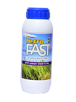 Ferro-Fast