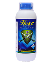 hexa super